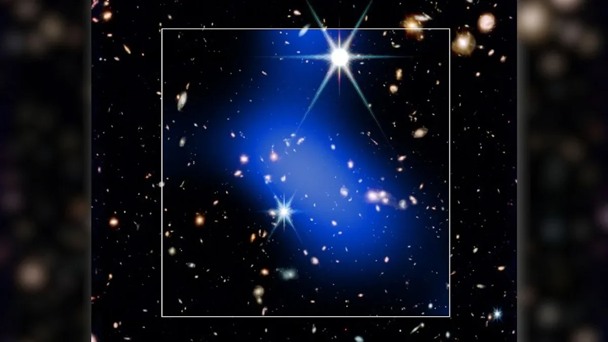 James Webb and Chandra Reveal Likely Most Distant Protocluster, Challenging Cosmology