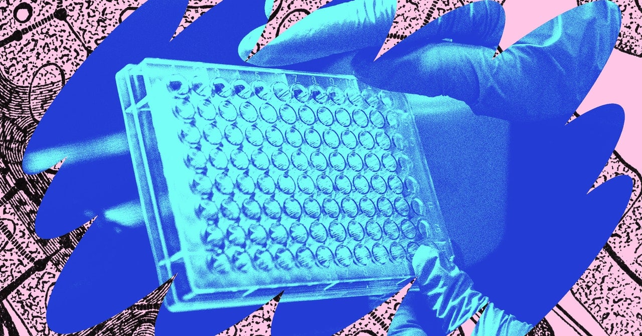 Featured image for Revolutionizing Germ Warfare: The Power of Phages.