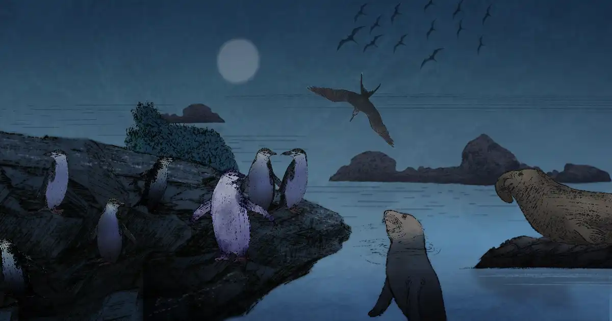 Featured image for Tiny Brain Monitors Reveal Secrets of Extreme Animal Sleep