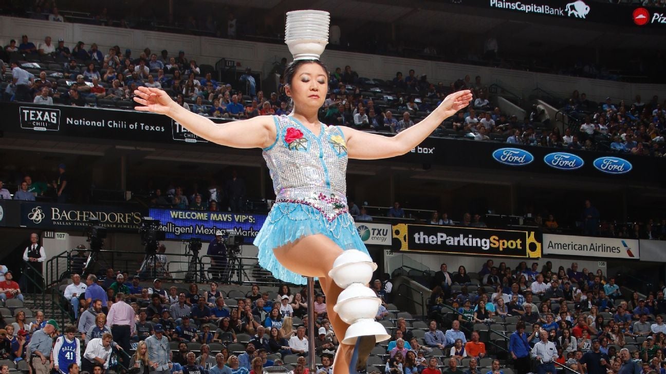 Featured image for Red Panda Injured During WNBA Halftime Show