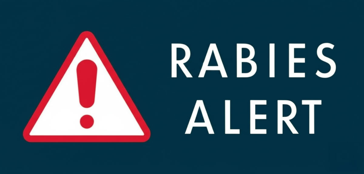 Featured image for Rabid Fox Bites Atmore Resident, Two Being Treated