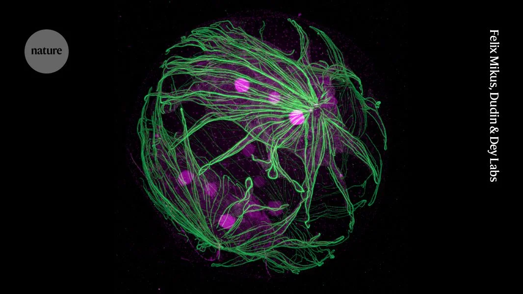 March’s Science through Sharp Images: From Microcosms to Global Rivers