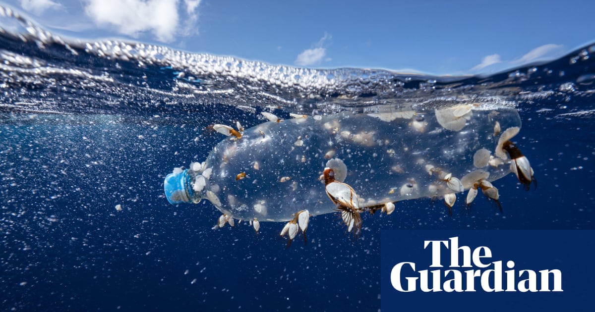 Featured image for Global Efforts to Combat Plastic Pollution Gain Momentum with Treaty Progress.