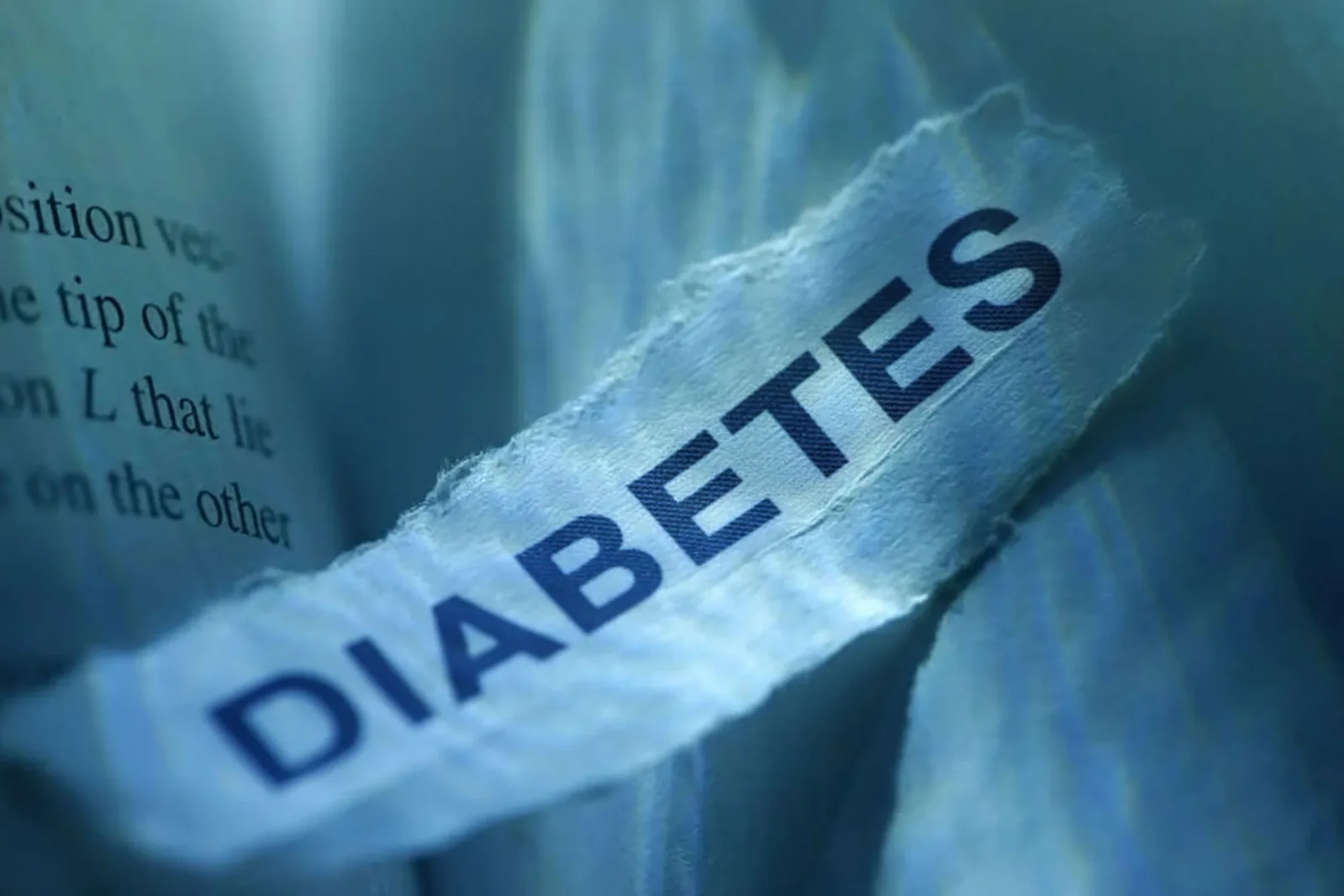 Hybrid Immune Transplants Reverse Type 1 Diabetes in Mice