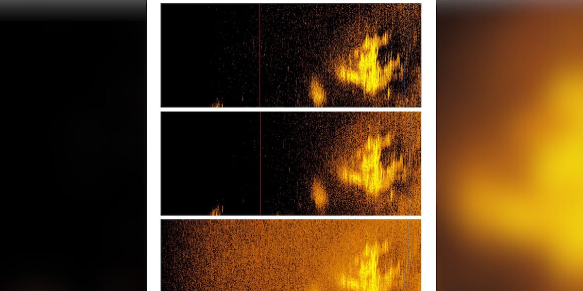 Featured image for Possible Discovery of Amelia Earhart's Lost Plane in Deep Ocean