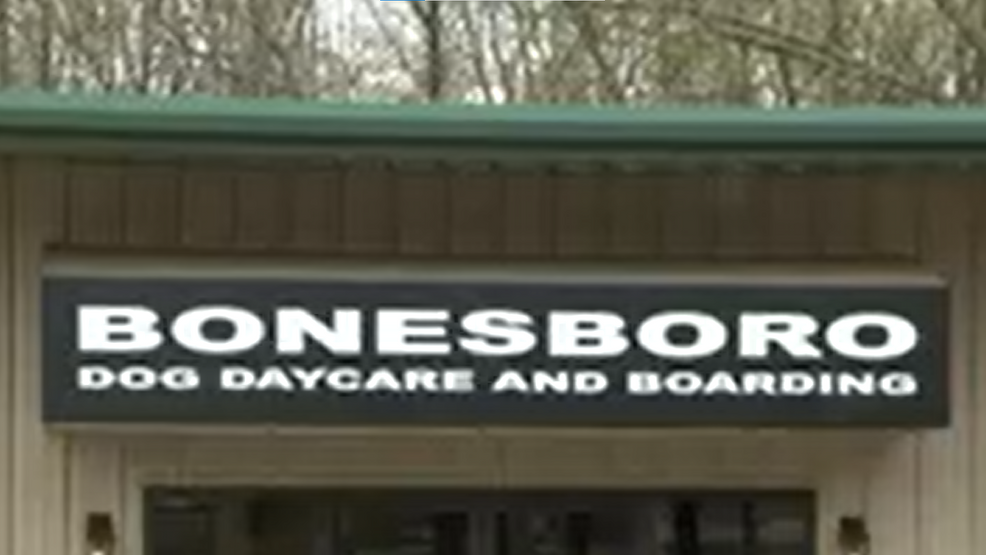 Wynne Tornado: Devastation and Hope for Pets and People Alike.