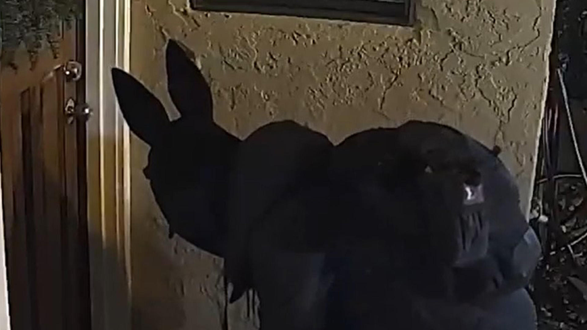 Featured image for Battling Porch Pirates: Tips to Safeguard Your Holiday Packages