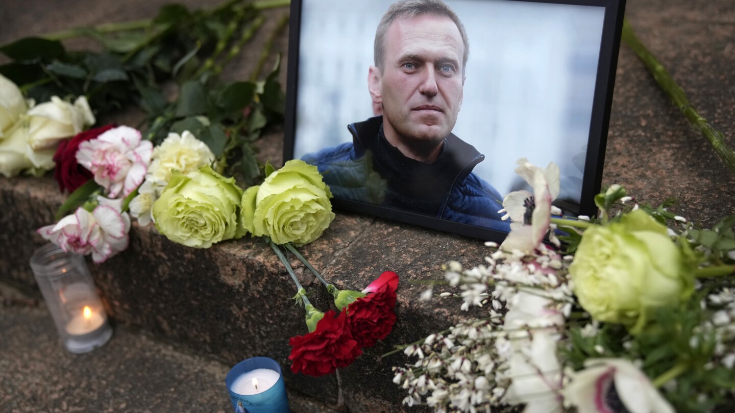"Targeted: The Tragic Fates of Putin's Critics and Opposition Activists"