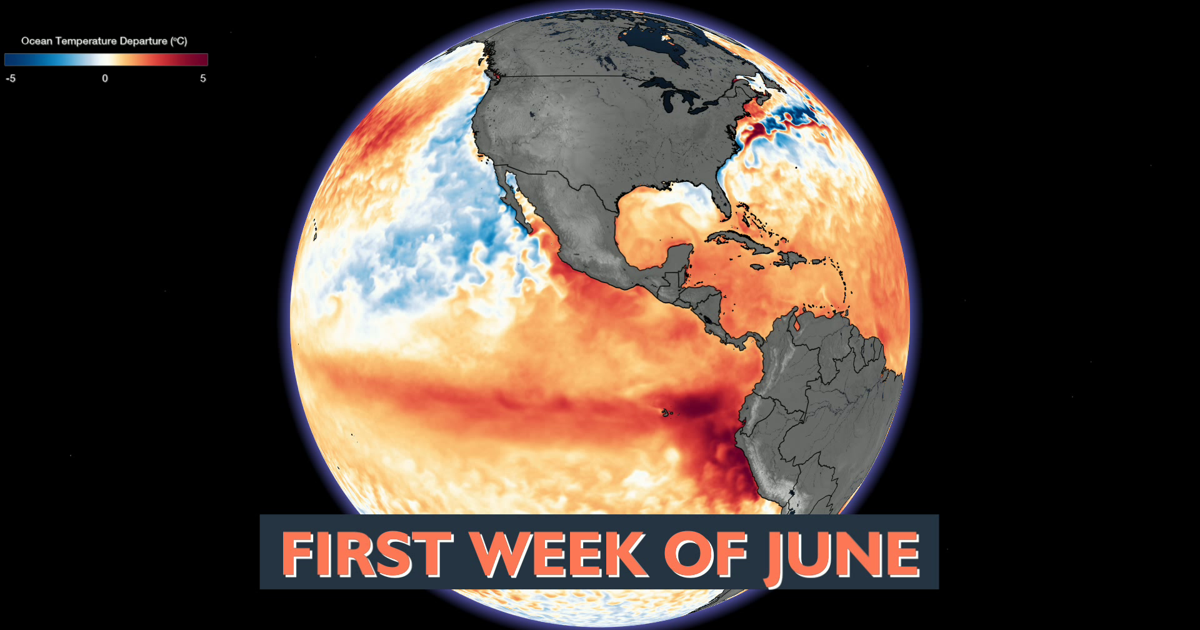 El Niño Returns: Impacts and Predictions for Various Regions.