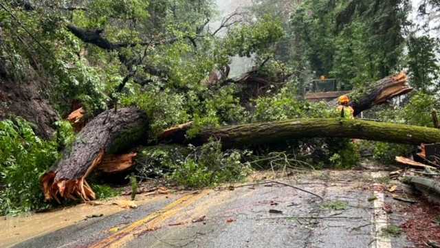 "Bay Area Storm Causes Road Closures and Hazardous Conditions"