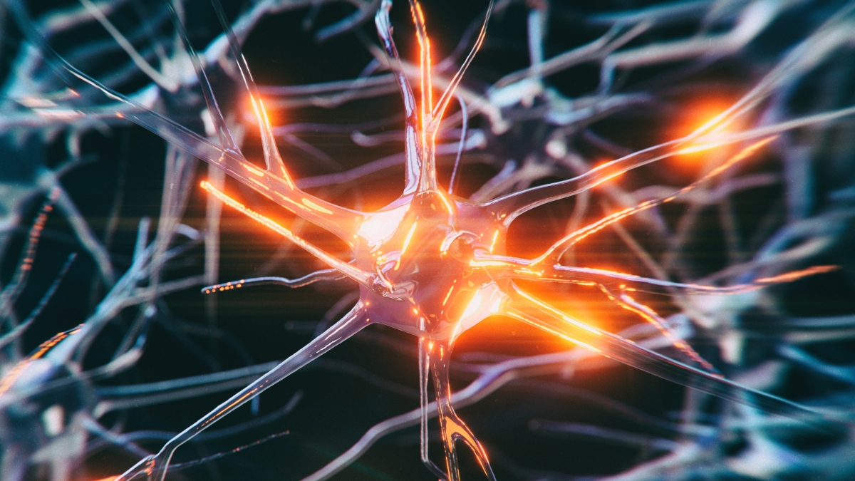 Featured image for Youngest Person Diagnosed With Alzheimer's Highlights Rare Case