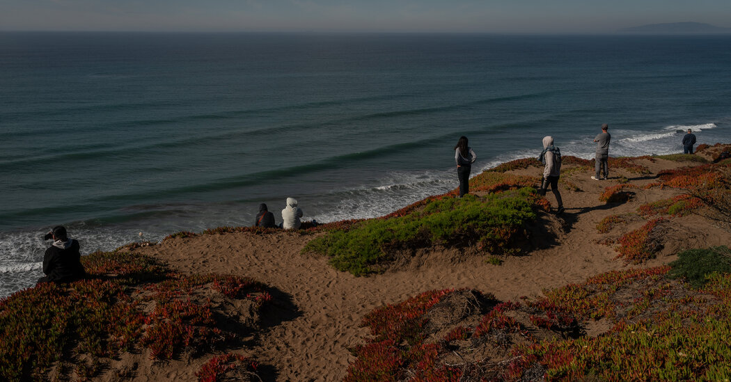 Featured image for California Faces Earthquake and Tsunami Challenges Amid Recent Quakes