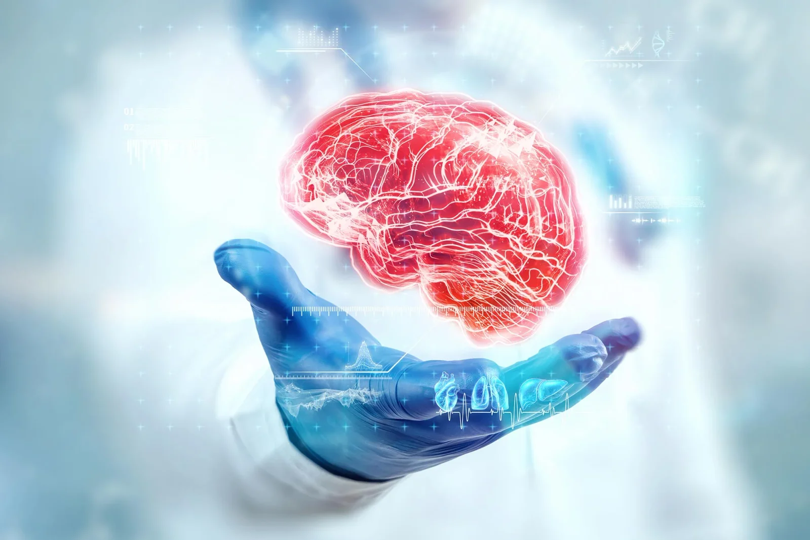 Aging Reveals a Brain Protein Switch—and Diet May Reset It