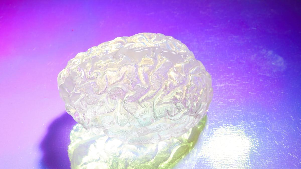 Featured image for Belly Fat and Brain Aging: New Insights into Alzheimer's Risk