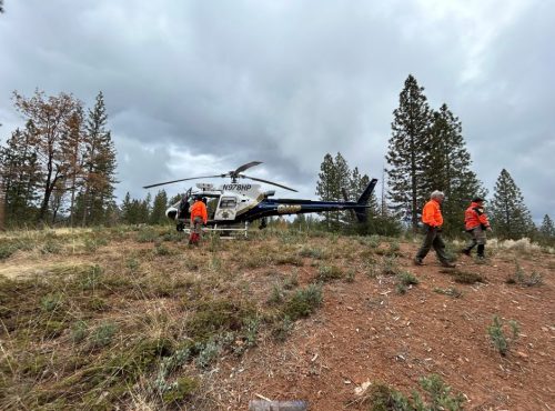 Tragic End to Search for Missing Nurse in Calaveras County