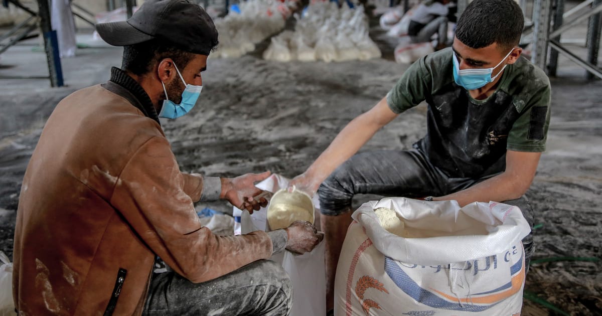 Featured image for "Urgent Call for Israel to Open Borders as Gaza Faces Looming Famine and Child Malnutrition"