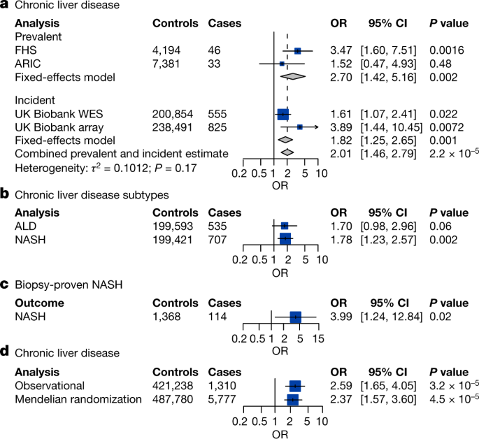 Featured image for Clonal haematopoiesis linked to liver disease risk and new chip mimics liver and gut.