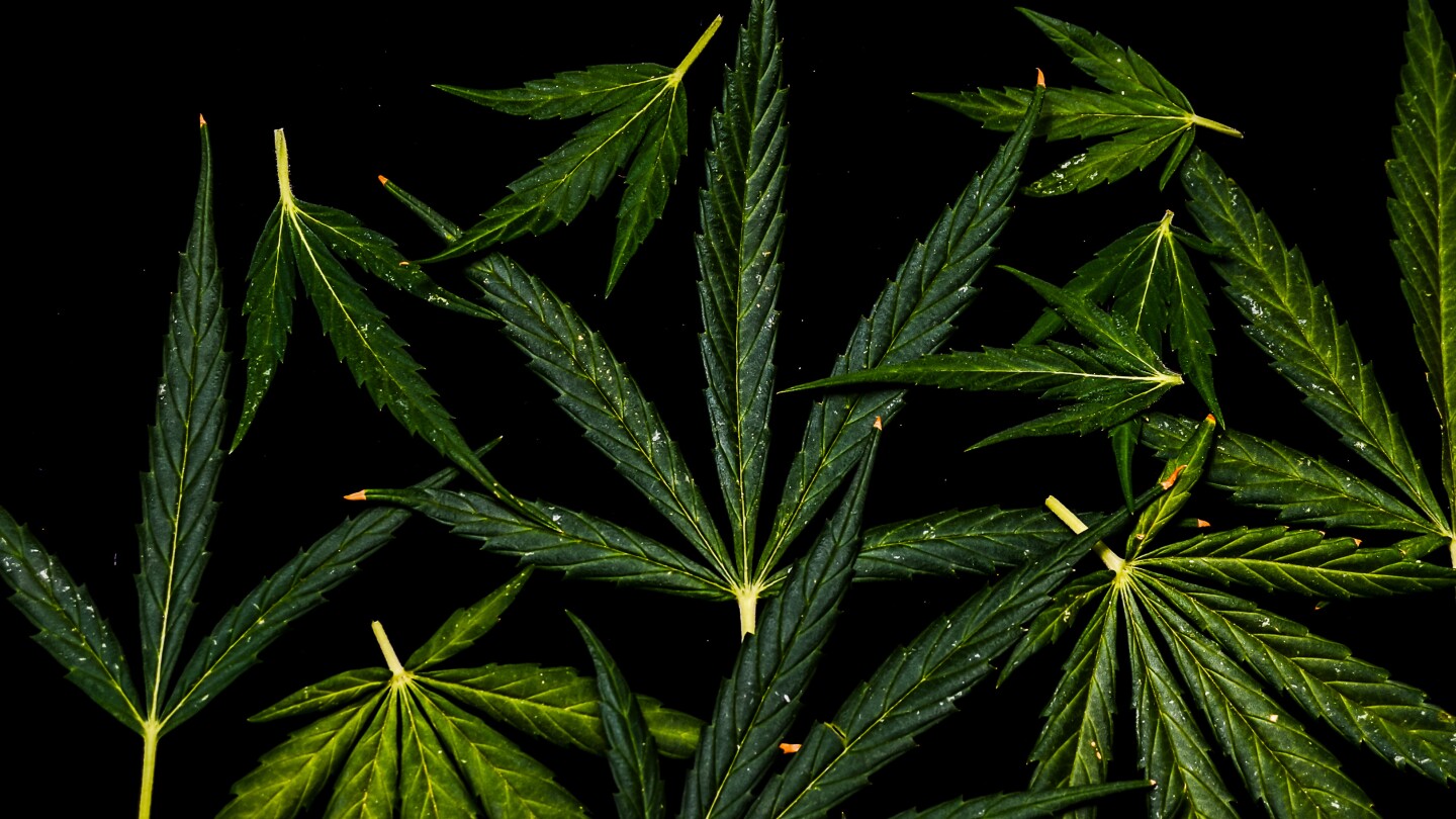 Featured image for NFL Eases Marijuana and Drug Policy Rules for Players