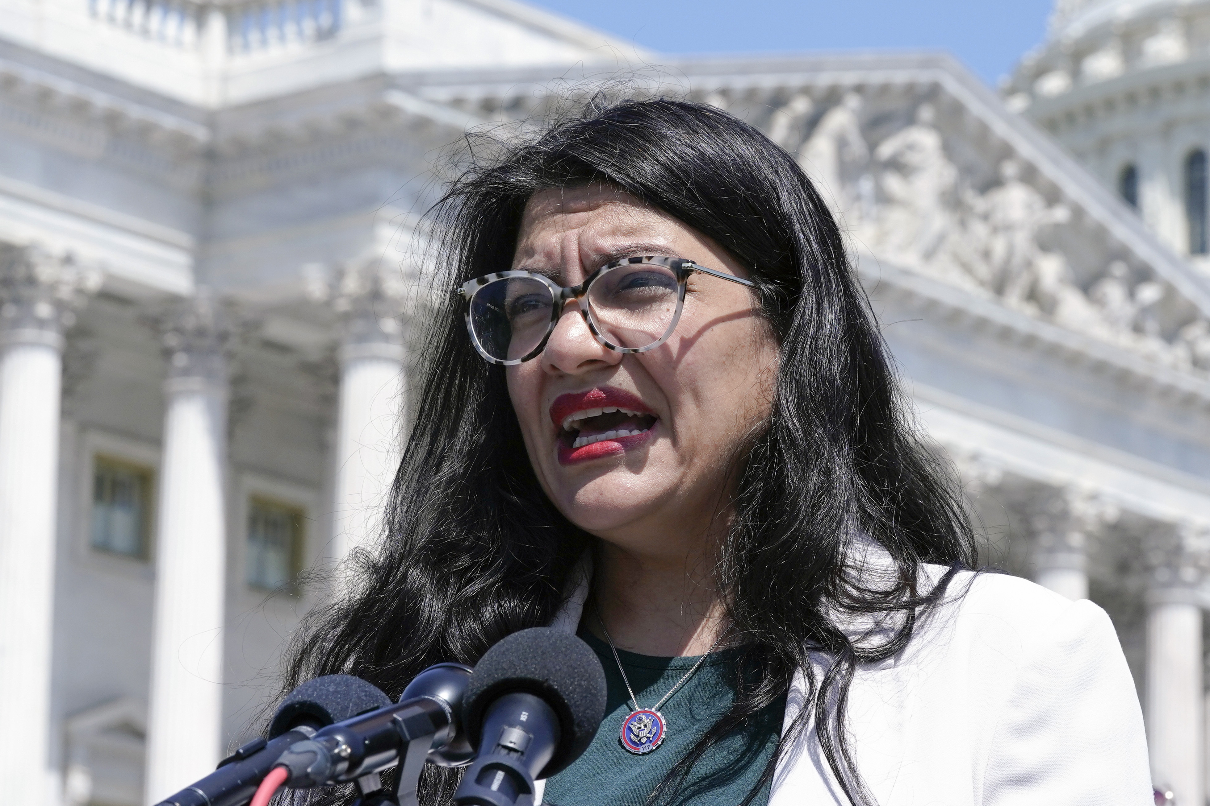 "Alleged $20M Donor's Offer Sparks Search for Tlaib Primary Challenger"