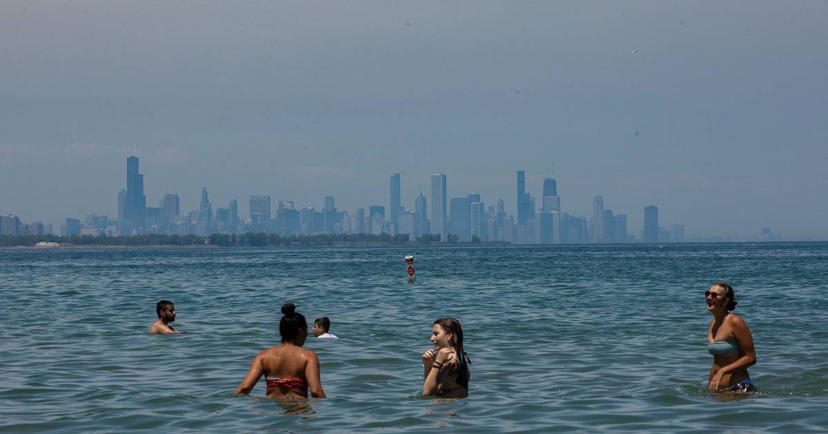Tragic Drowning in Lake Michigan Claims Chicago Man's Life
