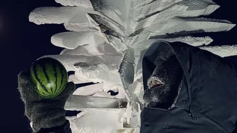 Watermelon Wonderland: Russian Scientists Grow Fruit in Earth's Coldest Region