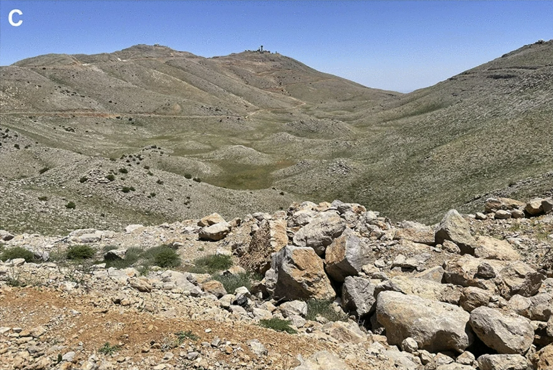 New Middle Eastern Species Discovered with Secretive Lifestyle