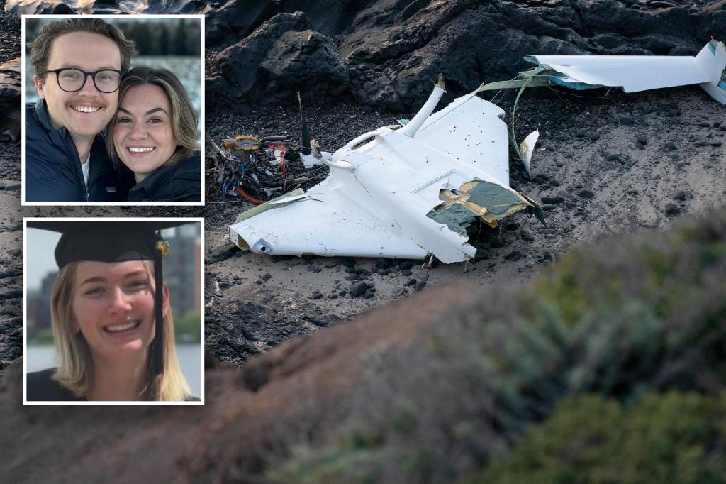 "Tragic Crash: Experimental Pilot, Fiancee, and Friends Killed in Half Moon Bay Plane Disaster"
