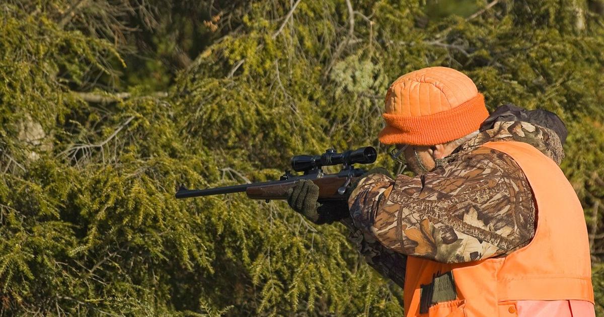 Featured image for "Kentucky Wildlife Officials Grapple with Contagious 'Zombie Deer' Disease"