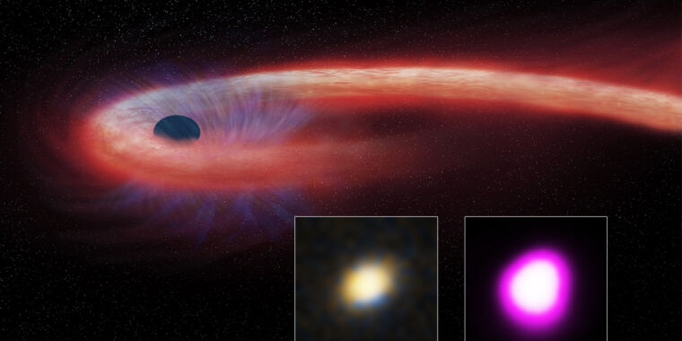 Unveiling the Origins of Light in Black Hole Tidal Disruption Events