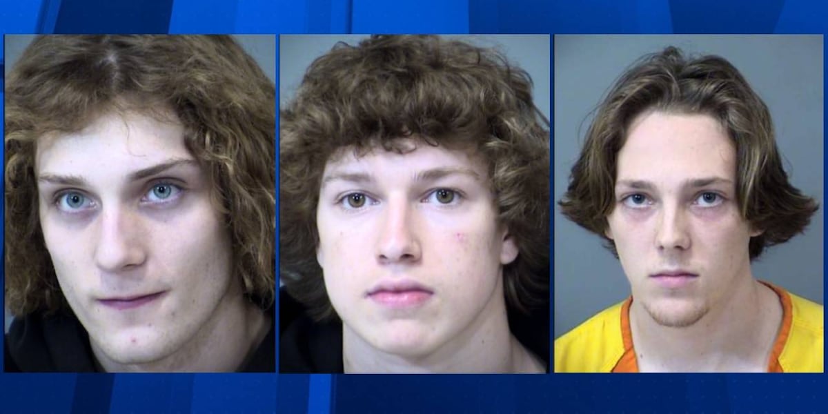 Featured image for "Multiple Teens Indicted for Assault in Gilbert Parking Garage"