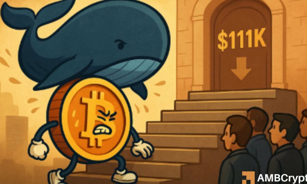 Featured image for Bitcoin Stalls Below $110K Despite $11B ETF Inflows and Heavy Selling