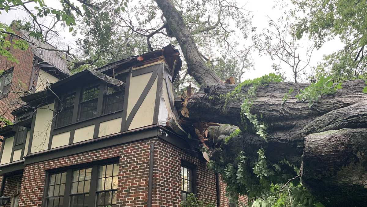 Featured image for Elderly Mountain Brook Woman Killed by Falling Tree During Storm