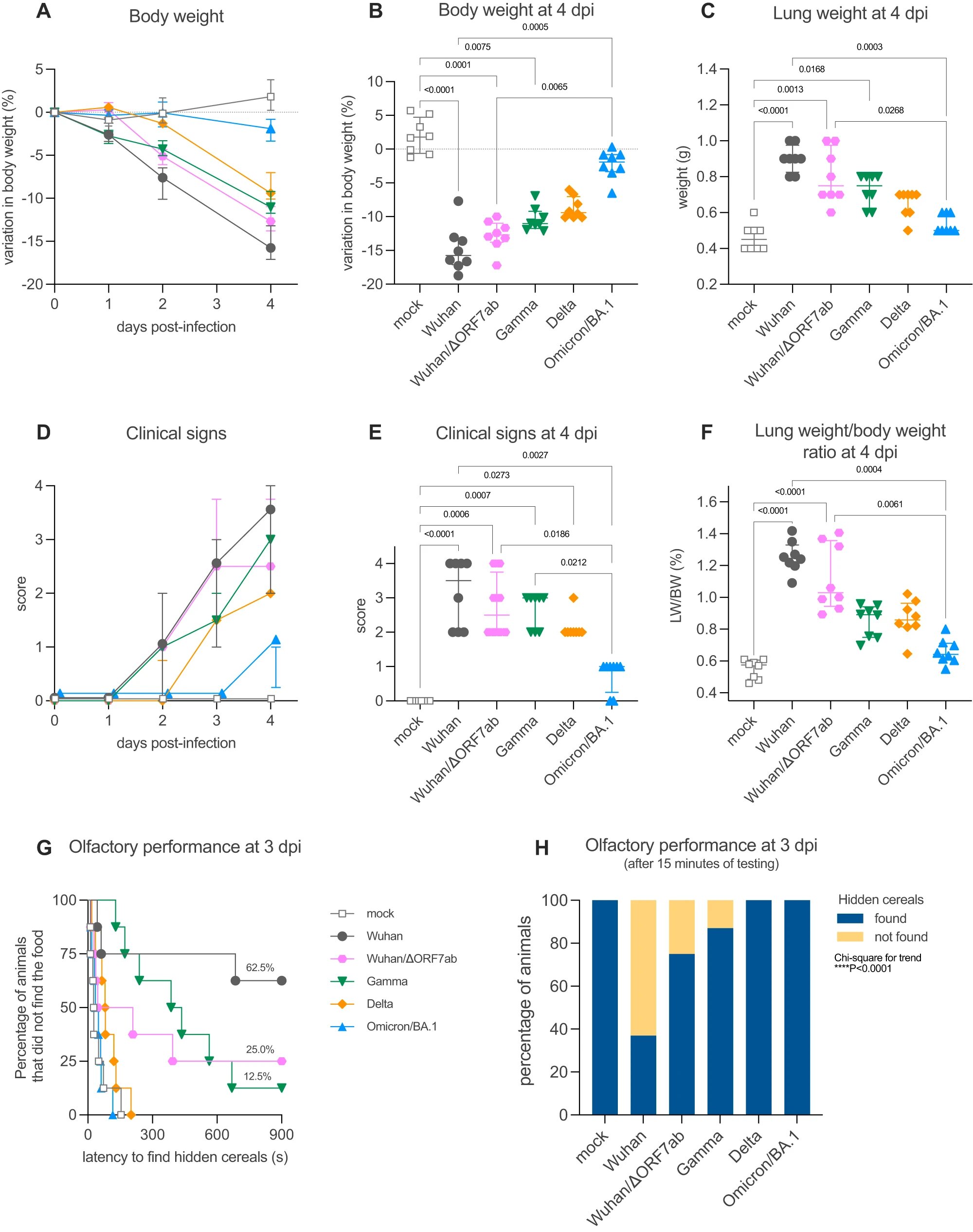 New Findings: SARS-CoV-2 Virus Invades Neurons and Infects Brain