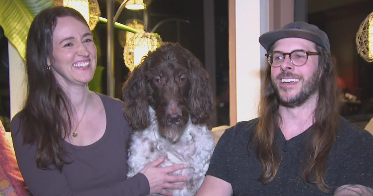 Featured image for "Pennsylvania Family Recoups Most of $4,000 After Dog's Expensive Snack"