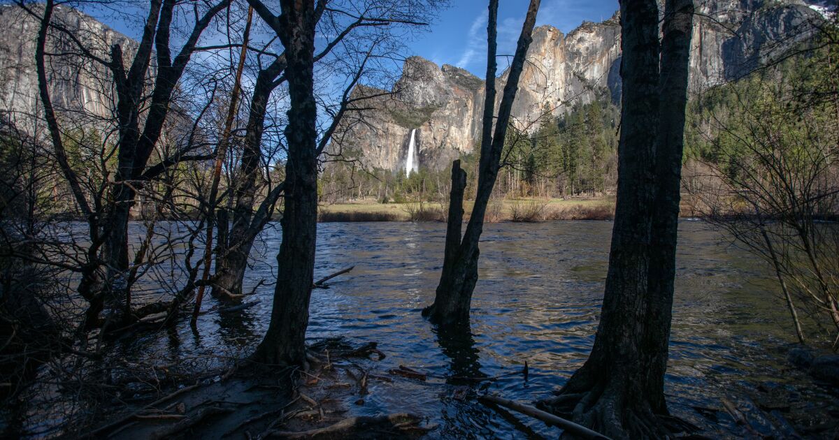 Featured image for Yosemite National Park Shuts Down Over Impending Floods.