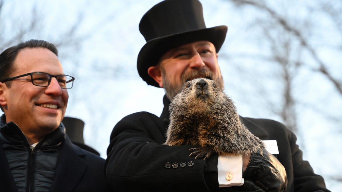 "PETA Proposes Giant Coin as Replacement for Punxsutawney Phil on Groundhog Day"
