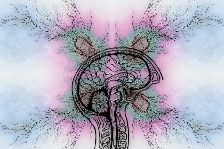 The Brain's Role in Diet Outcomes and Weight Regain