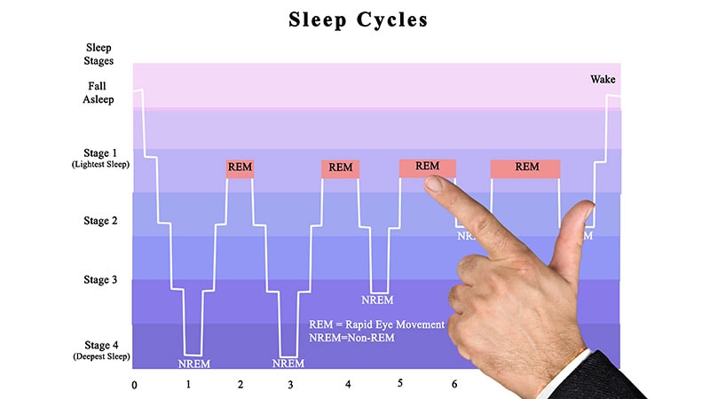 Featured image for Cracking the Code of REM Sleep