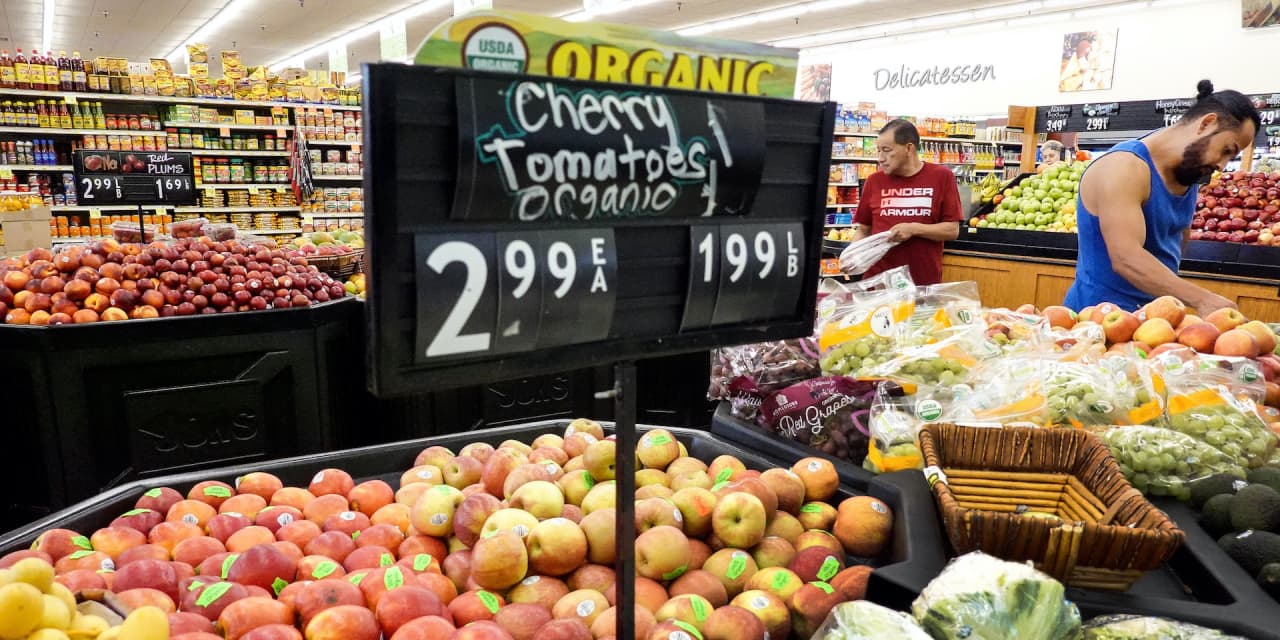 Featured image for "Federal Reserve's Monetary Policy Outlook: Rate Cuts, Soft Landings, and Your Money"