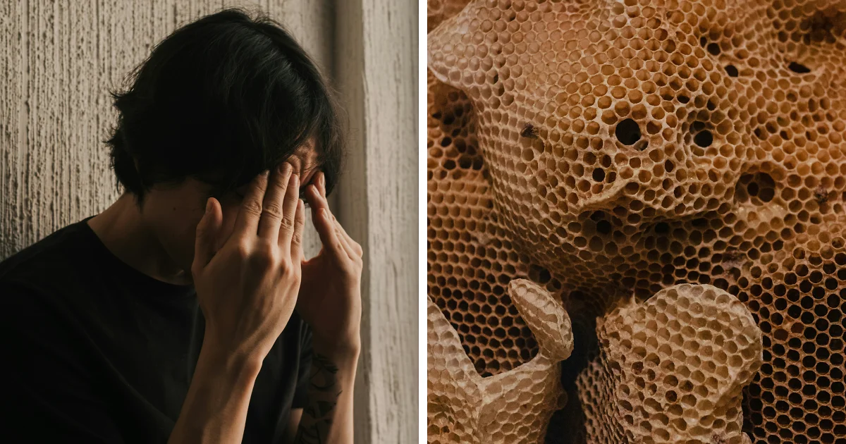 Featured image for Understanding Trypophobia: The Brain's Reaction to Tiny Holes