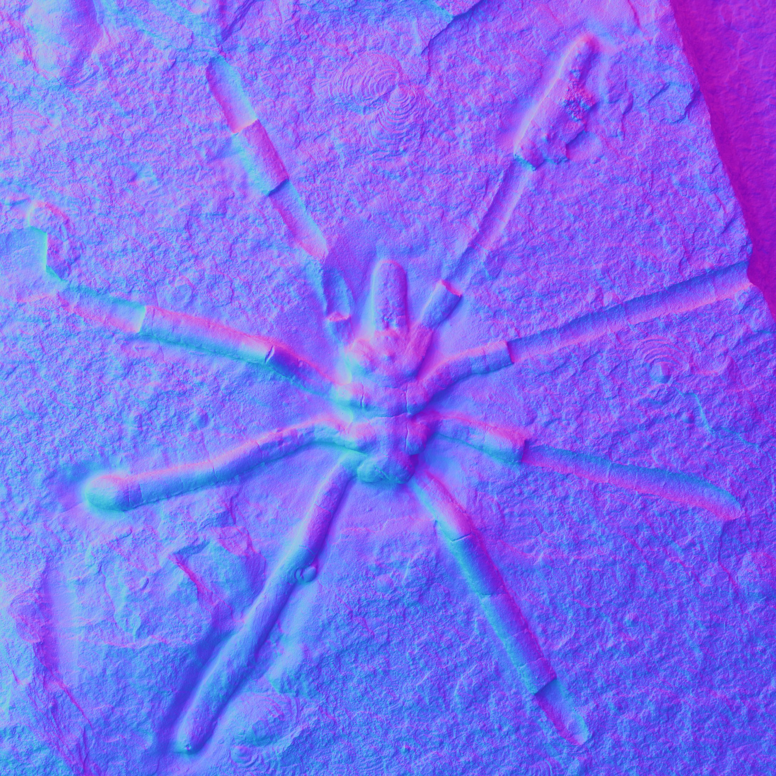 Featured image for Ancient Sea Spider Fossils Reveal Surprising Connection to Modern Species