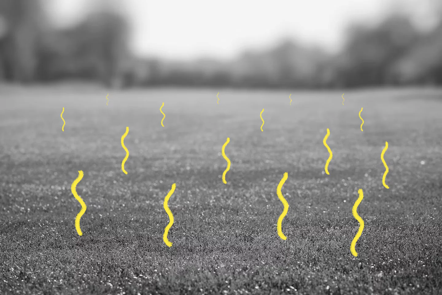 Everyday Exposures That Could Raise Cancer Risk—and How to Cut Your Odds