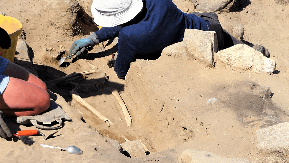 Featured image for Understanding the Significance of Isotopes' Half-Lives