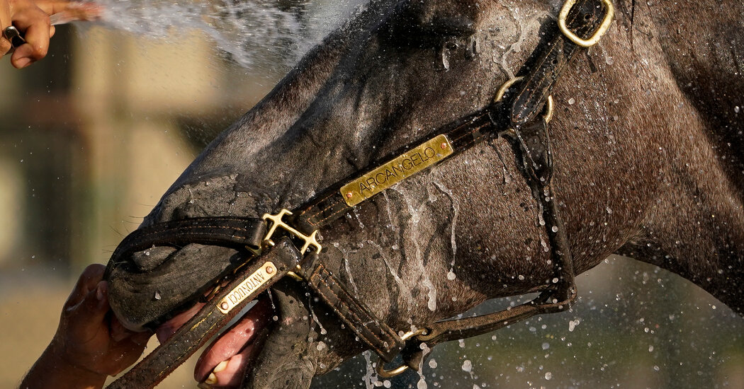 Featured image for 2023 Belmont Stakes: Expert Picks and Predictions.