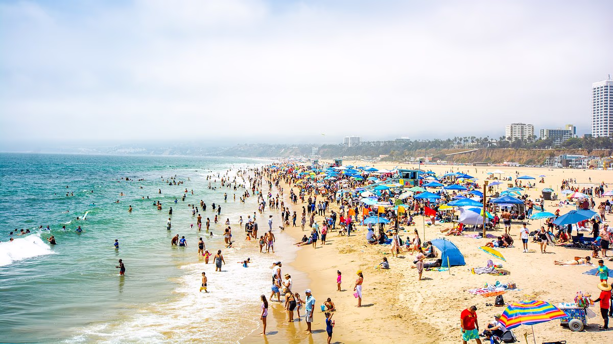 Featured image for Microplastic Pollution Near Coasts Linked to Increased Health Risks and Early Death