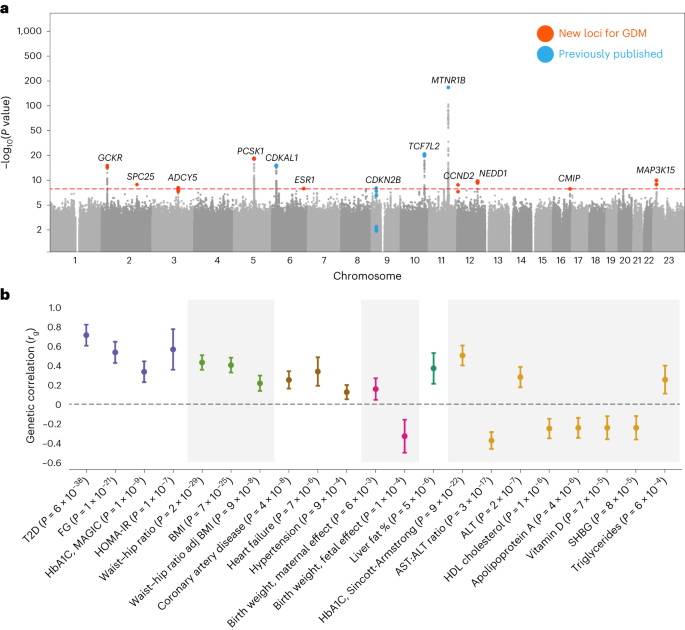 Featured image for "Exploring the Genetic Overlap Between Gestational Diabetes and Type 2 Diabetes"