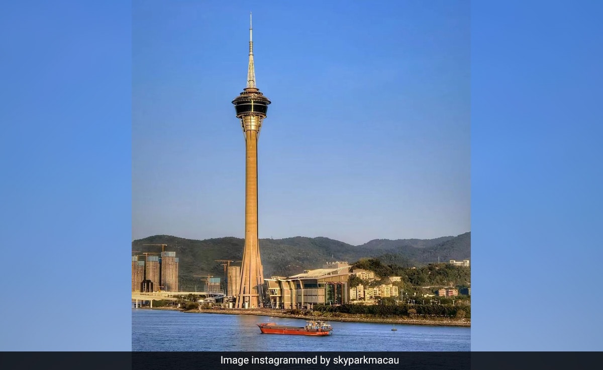 Featured image for Fatal Bungee Jumps: Tragic Tourist Deaths at World's Highest Sites