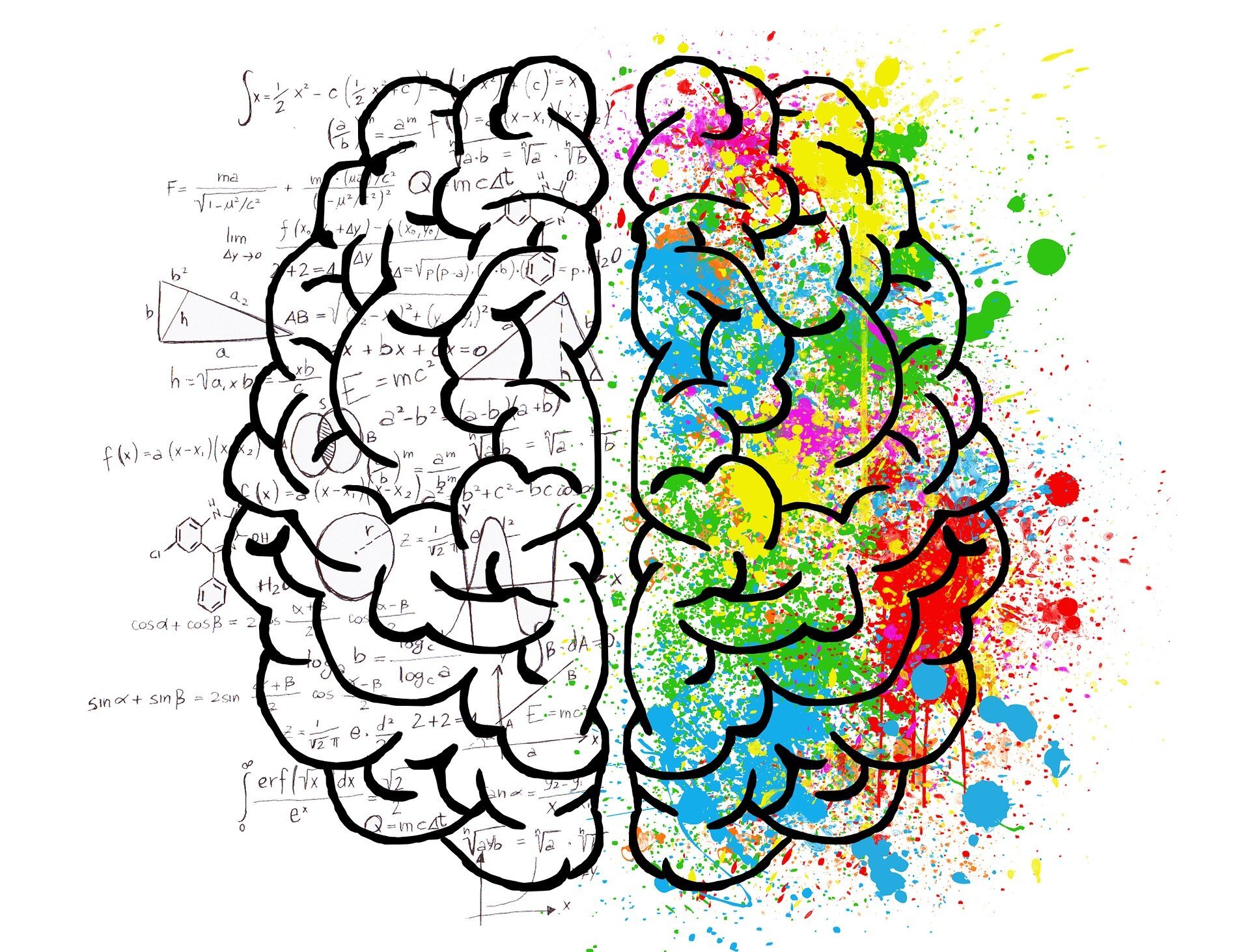 Personality traits linked to cognitive abilities.