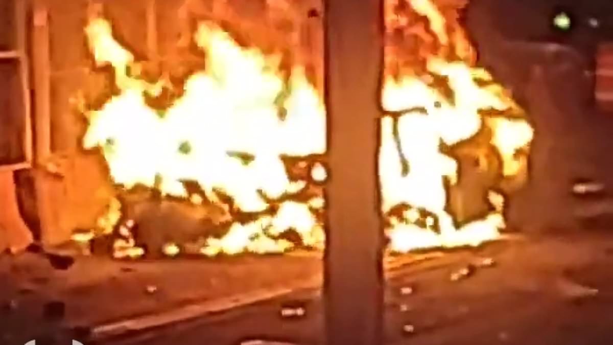 Fatal Lamborghini Crash in Manhattan Leaves Young Woman Dead