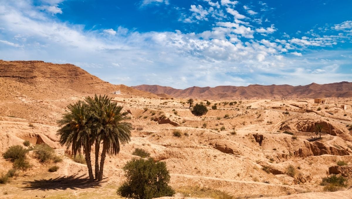Featured image for Rise and Fall of Sahara's Ancient Civilization: The Groundwater Dilemma